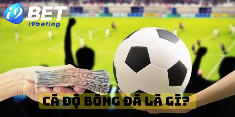 Cá độ bóng đá là gì? 