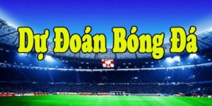 du-doan-bong-da-thump